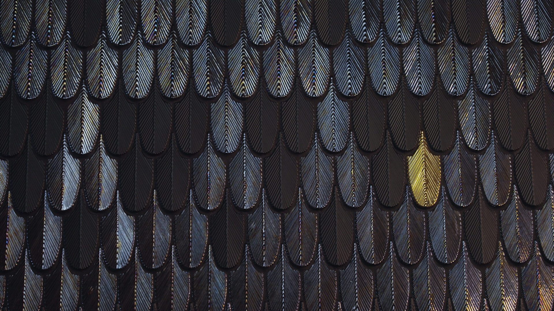 Chiemsee_Oefen_Rosenheim_Beratung_Materialien